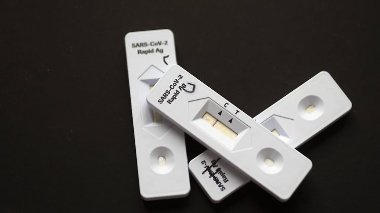 Die ersten Antigen-Schnelltests für Zuhause könnten schon bald im Handel sein.