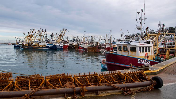 Vor dem Brexit  wurden fast alle Flügelbutte und der überwiegende Teil der Krabben nach Spanien verkauft.
