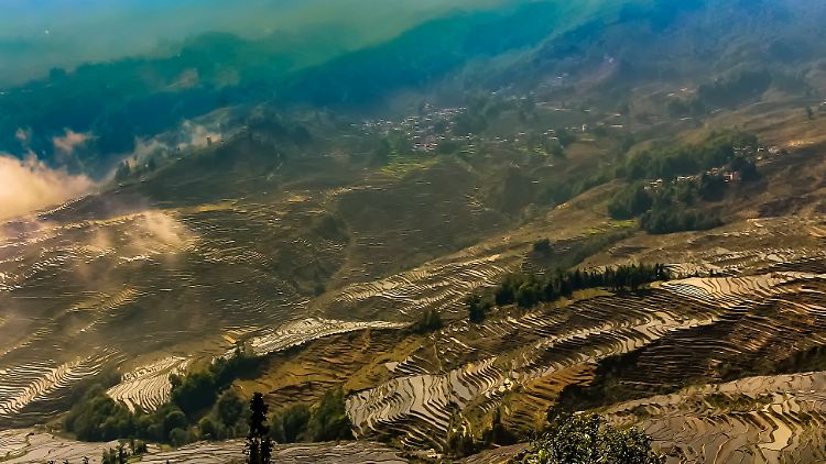 Reisterrassen im Südosten der chinesischen Provinz Yunnan.