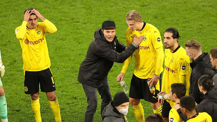 Hat viel zu erzählen: Edin Terzic.