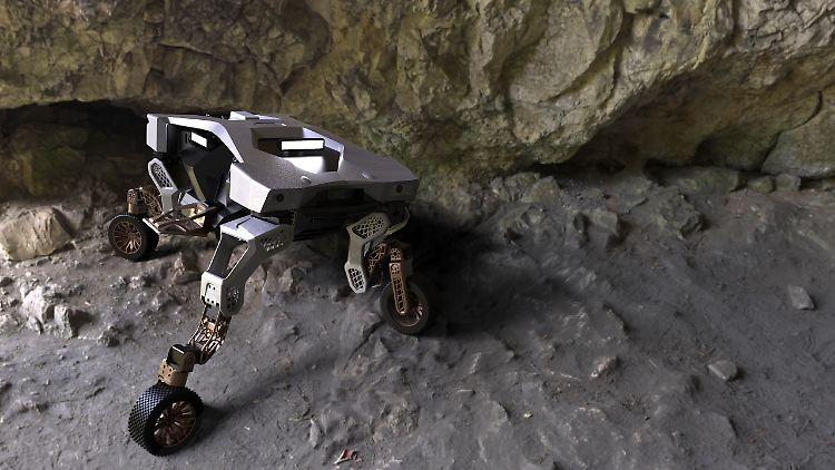 Dank seiner Bauart kann sich der Tiger-X1 in ganz unterschiedlichem Gelände bewegen.