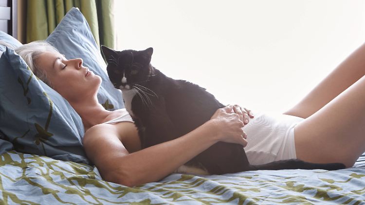 Auch wenn man sich in der Corona-Zeit vielleicht besonders nach Berührung und Nähe sehnt - wenn man infiziert ist, sollte man auch zu seiner Katze auf Abstand gehen.