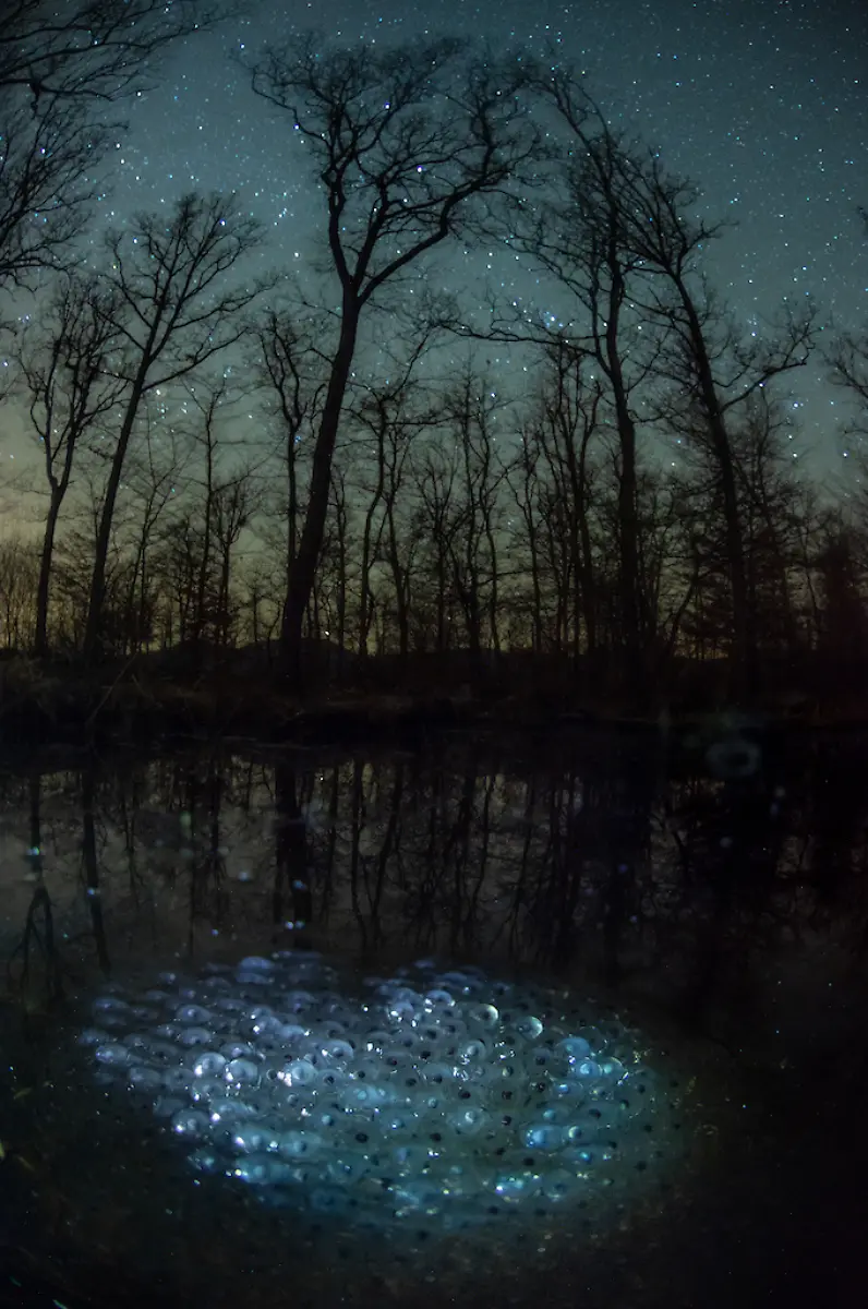 NICHT-WEITERVERWENDEN-Imre-Potyo-Universe-of-Eggs-CUPOTY-6-1024px