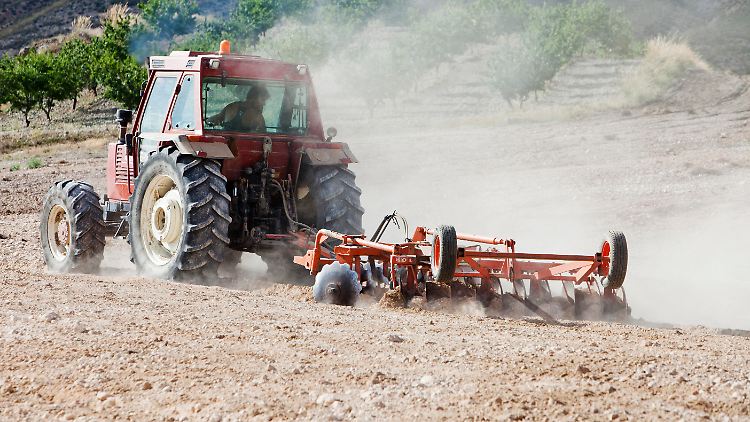 Erosion ist vor allem eine Folge der häufigen und intensiven Bodenbearbeitung.