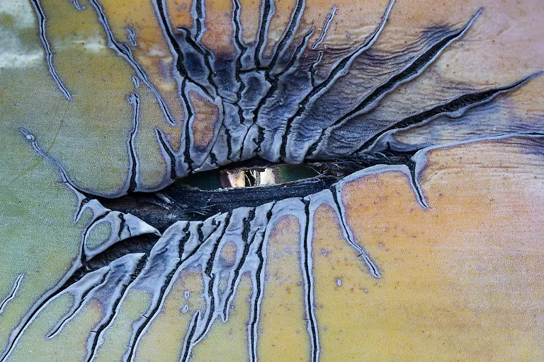 NICHT-WEITERVERWENDEN-Juan-Ahumada-Dragon-Eye-CUPOTY-6-1024px