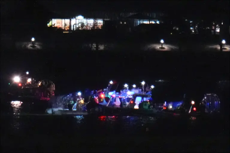 d309aa4fd31f5f1e75cf90b535f2d177