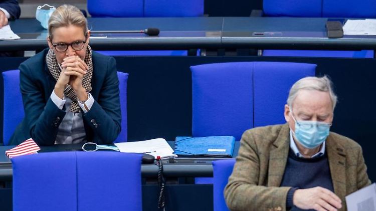 Die AfD-Fraktionschefs Alice Weidel und Alexander Gauland im Bundestag.