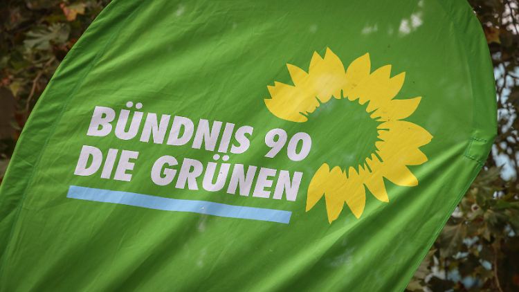 Großspenden erhalten die Grünen eher selten. 