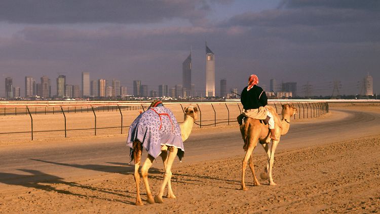 Erst zum Arzt, dann auf dem Kamel in die Wüste vor Dubai - geht das wirklich?