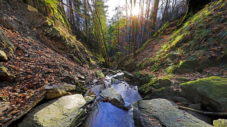 Das Naturschutzgebiet Unteres Helletal im Sauerland ist seit 2008 als solches ausgewiesen.