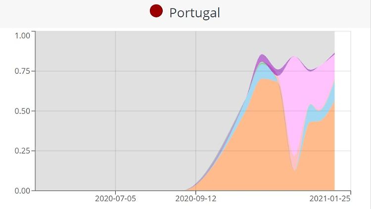 Die rosa Fläche zeigt die Entwicklung von B.1.1.7, die braune die der Variante 20A.EU1, die erst im Sommer in Spanien auftrat und sich dann über Europa verbreitete.