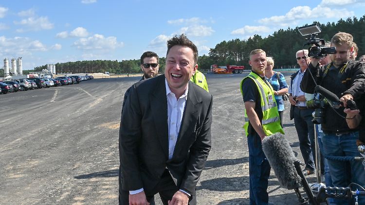 Der Hesse hat nur die Eingebung gehabt, Elon Musk könnte in Bitcoin investieren - und daraufhin den Troll-Post erstellt.