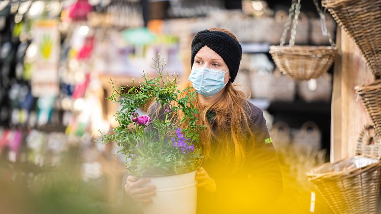 In Niedersachsen haben am 13. Februar die Gartencenter wieder geöffnet - die Nachbarn zogen nach.