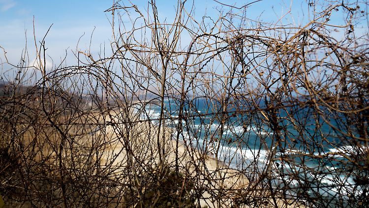 Stacheldrahtzaun an der Grenze bei Goseong - der Flüchtling schwamm durch einen Abwasserkanal darunter durch.
