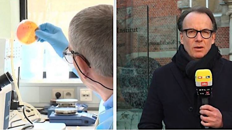 Martin To Roxel Corona Variante USA.JPG