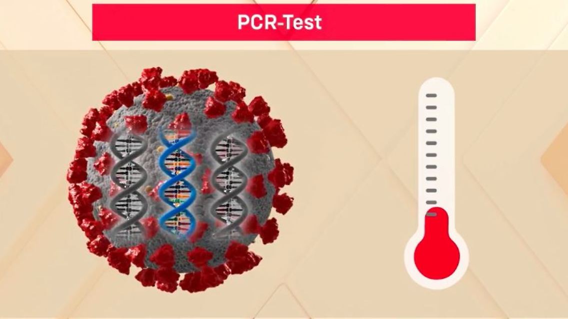 PCR-Test.JPG