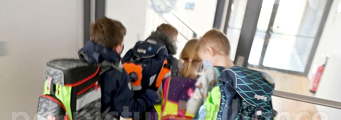 232902479.jpg