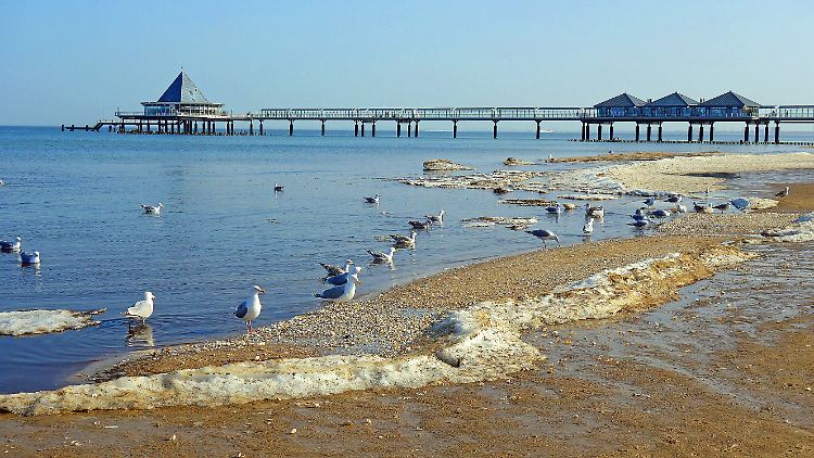 Nur die Möwen spazieren derzeit am Strand von Heringsdorf: Auf Usedom gilt wegen hoher Inzidenz eine Einreiseverbot.