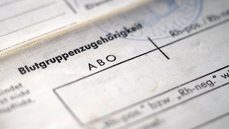 Infizierte der Blutgruppe 0 können das Virus leicht an alle anderen Blutgruppen weitergeben. Personen der Blutgruppe AB haben das höchste Risiko, sich selbst anzustecken.