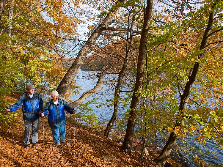 Wanderer in Mecklenburg-Vorpommern: 2011 hat die UNO zum Internationalen Jahr der Wälder gemacht.