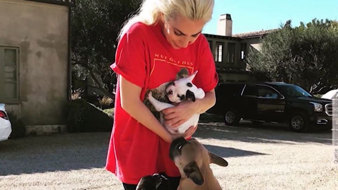 Lady Gaga.JPG
