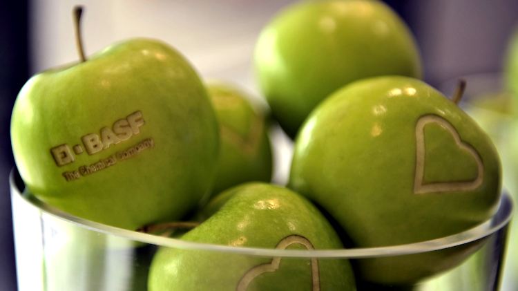 BASF startet mit knackigen Zahlen ins Jahr. 