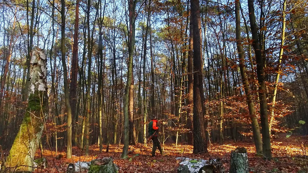 Jaegerinnen-und-Jaeger-helfen-dabei-Tierseuchen-einzudaemmen-und-Wildschaeden-zu-verringern