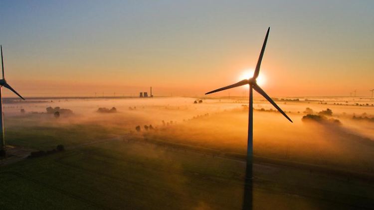 Im Jahr 2020 brachten Börsengänge von Unternehmen aus dem Bereich der erneuerbaren Energien 11 Milliarden Dollar ein.