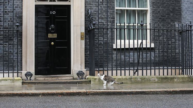 Boris Johnson wohnt in der Downing Street 11 , gleich neben dem Regierungssitz.