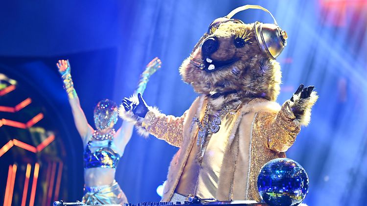 Das Quokka sorgte für Stimmung - und flog trotzdem raus.