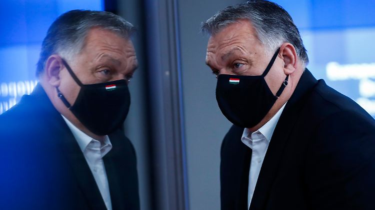 Fidesz-Chef Viktor Orban streitet seit Jahren mit der EVP über die Grundwerte der EU.