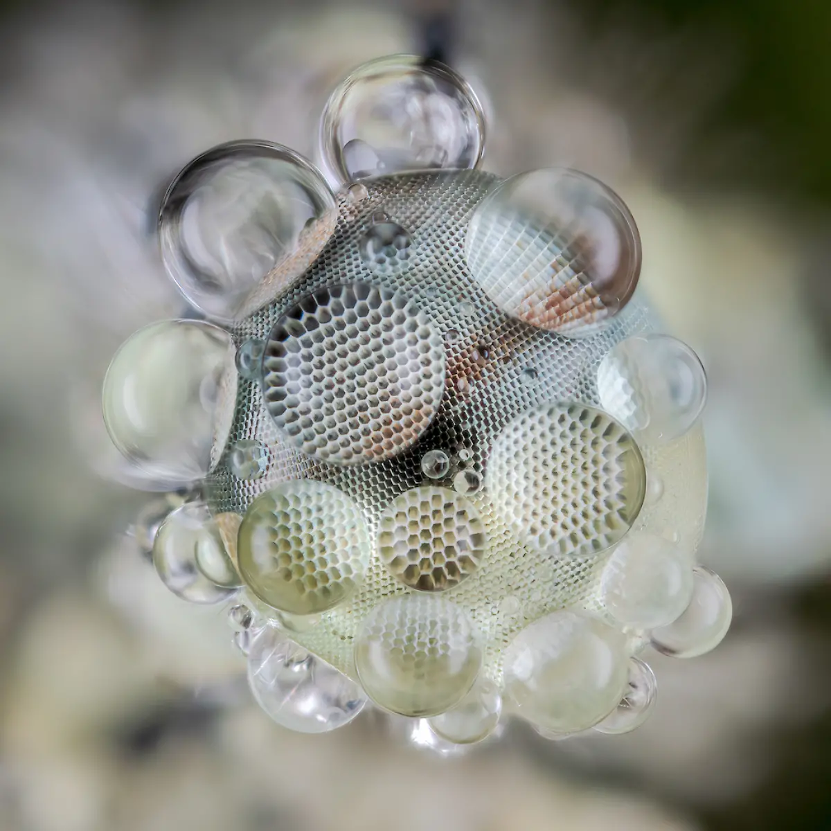 NICHT-WEITERVERWENDEN-Tim-Crabb-Eye-Drops-CUPOTY-6-1024px