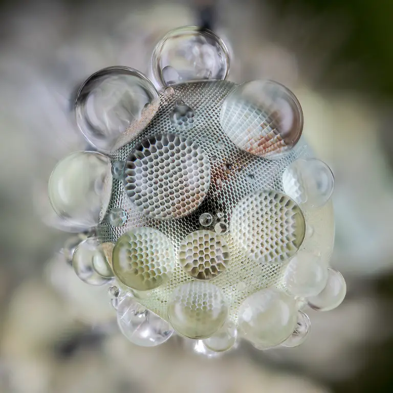 NICHT-WEITERVERWENDEN-Tim-Crabb-Eye-Drops-CUPOTY-6-1024px