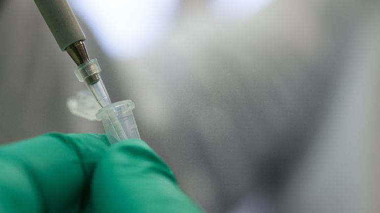 Immer mehr Proben weisen die Coronavirus-Variante B.1.1.7 auf.