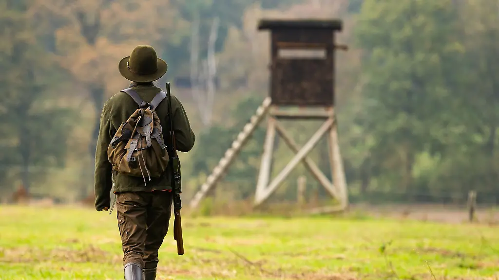 Die-Zahl-der-Jaeger-nimmt-nach-einem-kurzen-Rueckgang-in-Baden-Wuerttemberg-wieder-zu