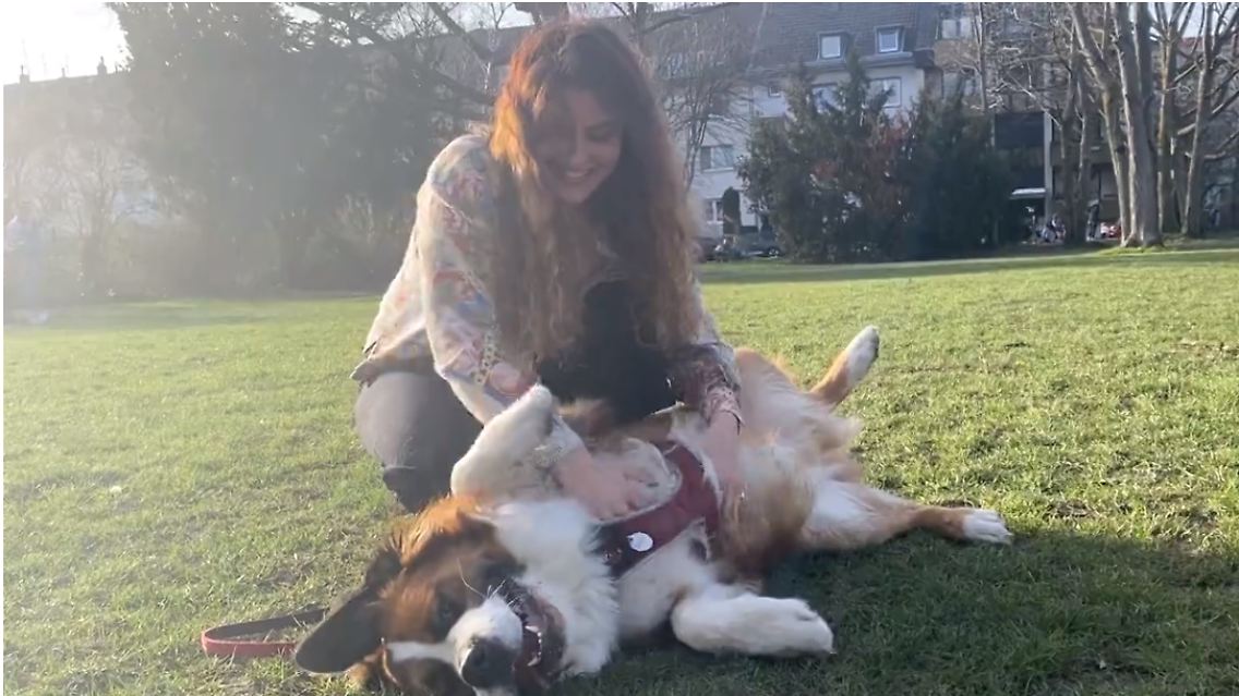 hund.PNG