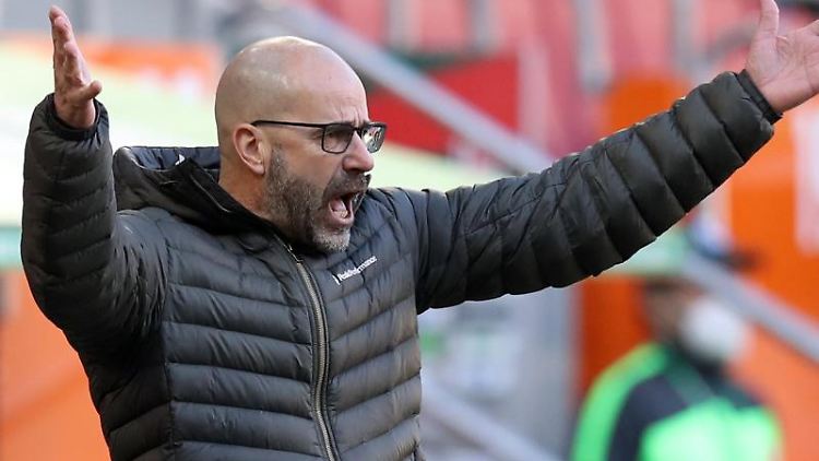 Leverkusens Ex-Trainer Peter Bosz gibt nun Anweisungen in Lyon.