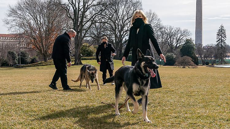 Jill Biden (vorn) mit den beiden Deutschen Schäferhunden.