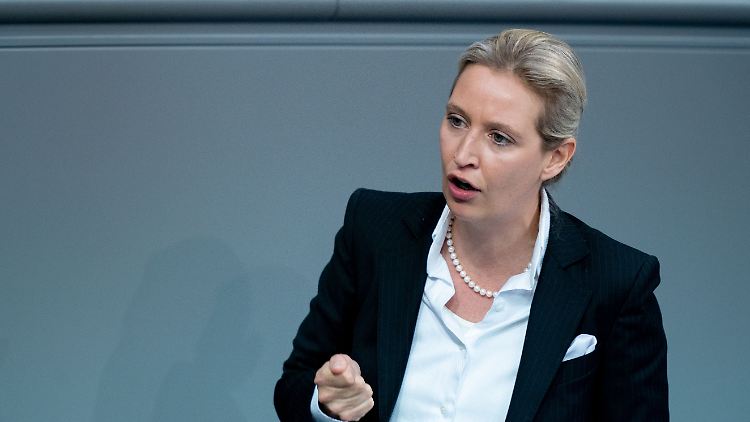Neben AfD-Fraktionschefin Weidel reisen auch die Abgeordneten Petr Bystron und Robby Schlund mit nach Moskau.