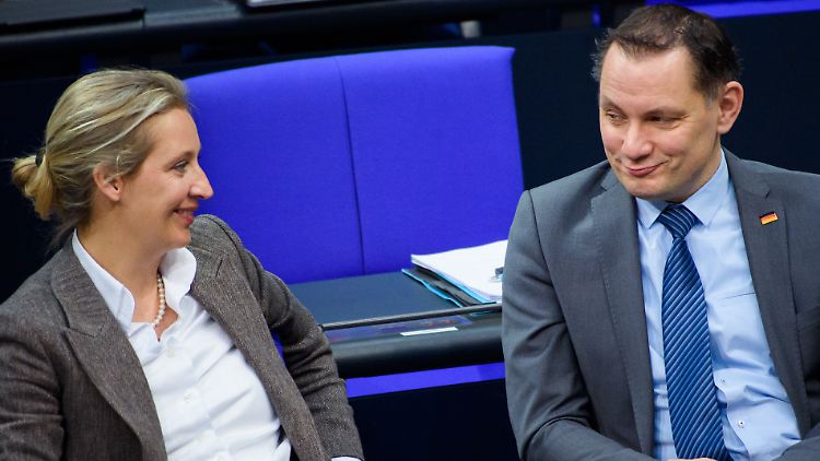 Fraktionsvorsitzende und Parteichef: Weidel und Chrupalla wollen Spitzenkandidaten der AfD werden.