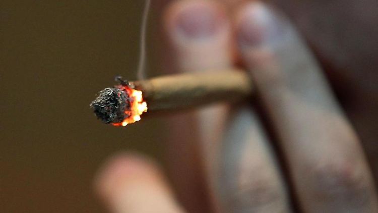 Die Regierung freut sich über die positiven Auswirkungen, die die Legalisierung haben werde.