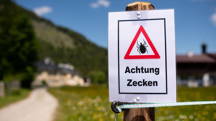 Derzeit sind Insgesamt 169 Kreise in Deutschland als FSME-Risikogebiete definiert.