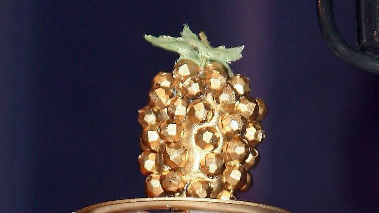 Diesen Preis versucht ganz Hollywood zum Umgehen: die Goldene Himbeere.