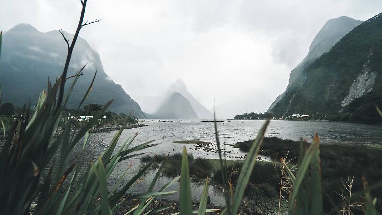 Reisetraum Neuseeland. Tourlane-Co-Gründer Julian Weselek schwärmt: "Gestern kam eine Buchung rein  - für Neuseeland im Jahr 2023."