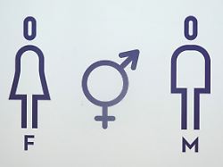 Von Ritualen bis Missbrauch: Europarat-Gremium fordert zu "Konversionsbehandlung"-Verbot auf