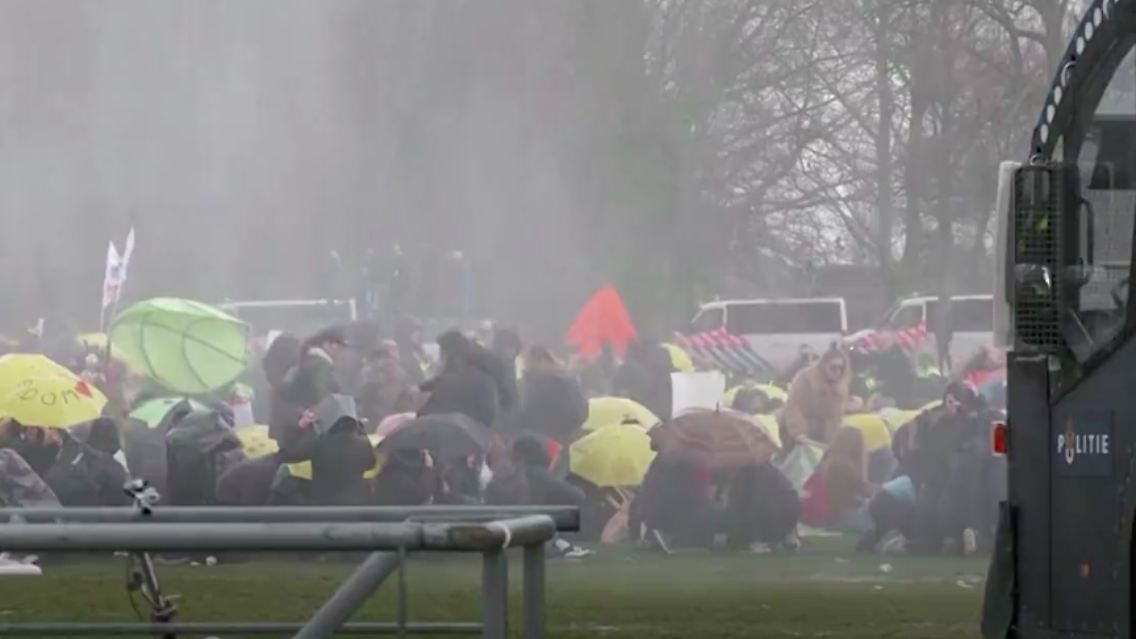 den haag.png