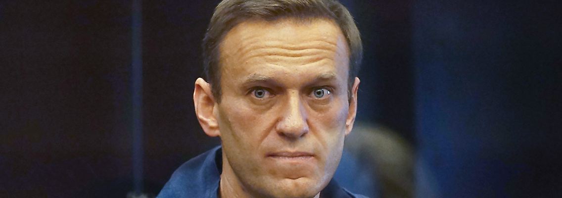 230874123.jpg