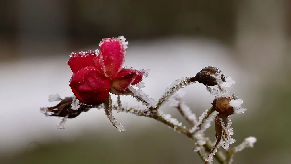 Die-Woche-in-Sachsen-Anhalt-startet-mit-Frost-und-Sonne