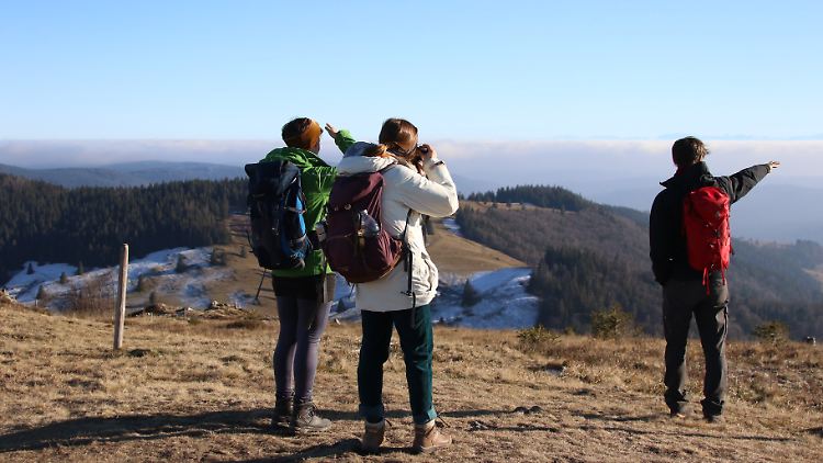 Dass man nun nach Mallorca reisen darf, aber nicht in eine Ferienwohnung in Deutschland, sorgt für Unverständnis.