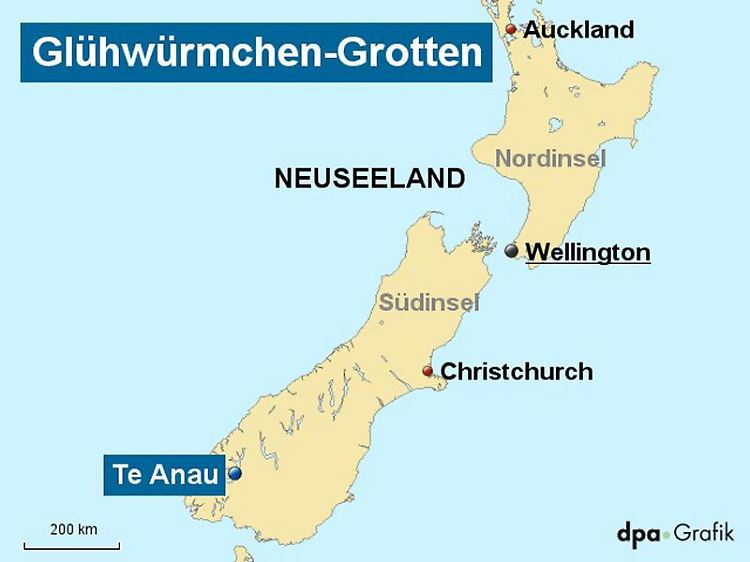 Eine besondere Glühwürmchenart locken zahlreiche Touristen nach Te Anau auf der Südinsel Neuseelands.